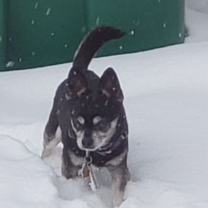 Meet your Posher, Constance